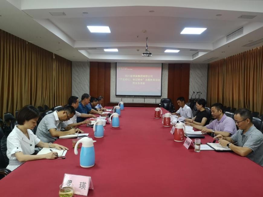 集團(tuán)公司召開“不忘初心、牢記使命”主題教育活動民主生活會