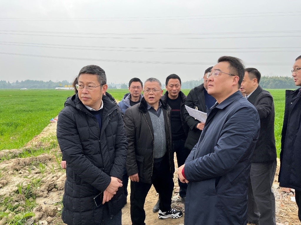 省社、省供投集團(tuán)領(lǐng)導(dǎo)調(diào)研青白江區(qū)四川現(xiàn)代供銷種業(yè)園區(qū)