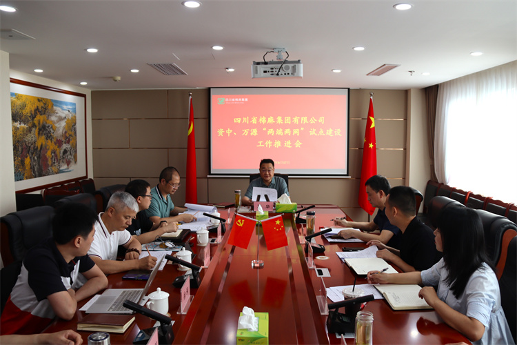 鄧華主持召開資中、萬源“兩端兩網(wǎng)”試點建設(shè)工作推進會