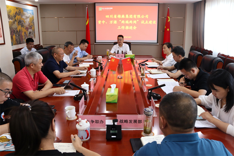 鄧華主持召開資中、萬源“兩端兩網(wǎng)”試點建設(shè)工作推進(jìn)會