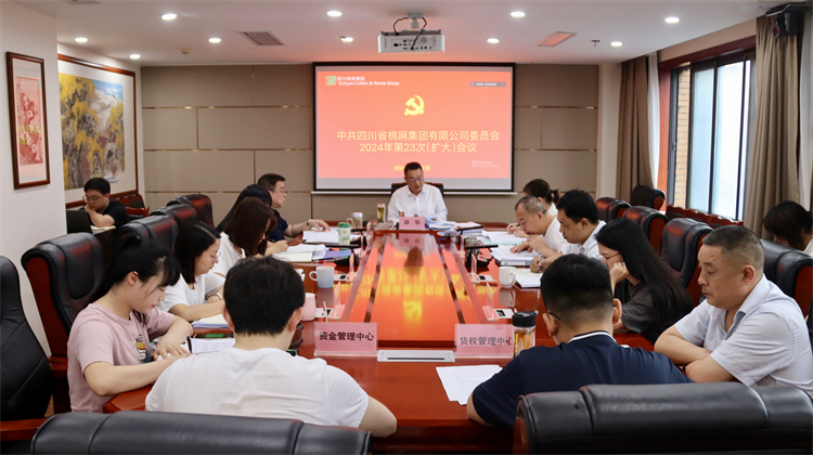 集團(tuán)公司召開2024年第23次黨委（擴大）會議