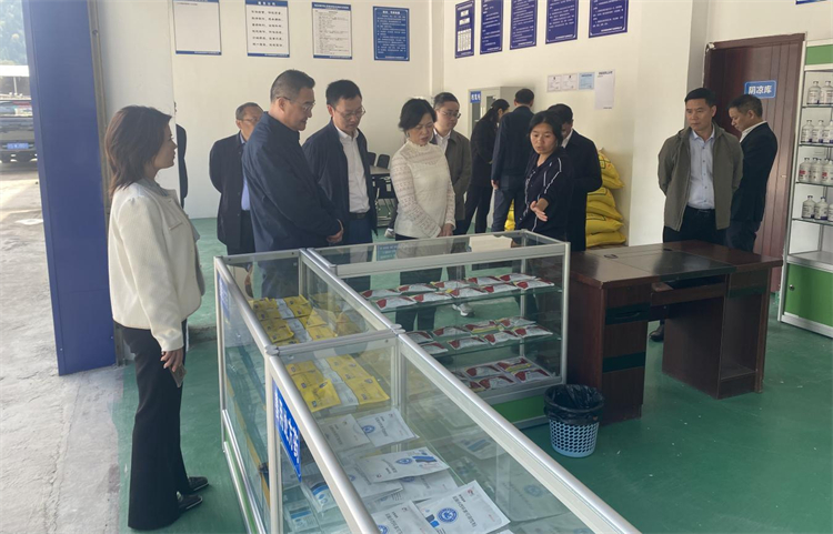 四川省供銷社黨組成員、理事會副主任、一級巡視員楊武秀帶隊(duì)到萬源調(diào)研集團(tuán)舊院黑雞產(chǎn)業(yè)發(fā)展工作