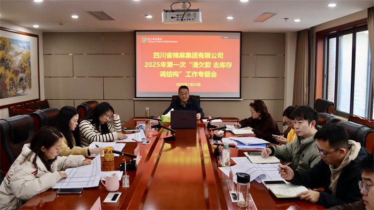 集團(tuán)公司召開2025年第一次“清欠款、去庫存、調(diào)結(jié)構(gòu)”工作專題會(huì)